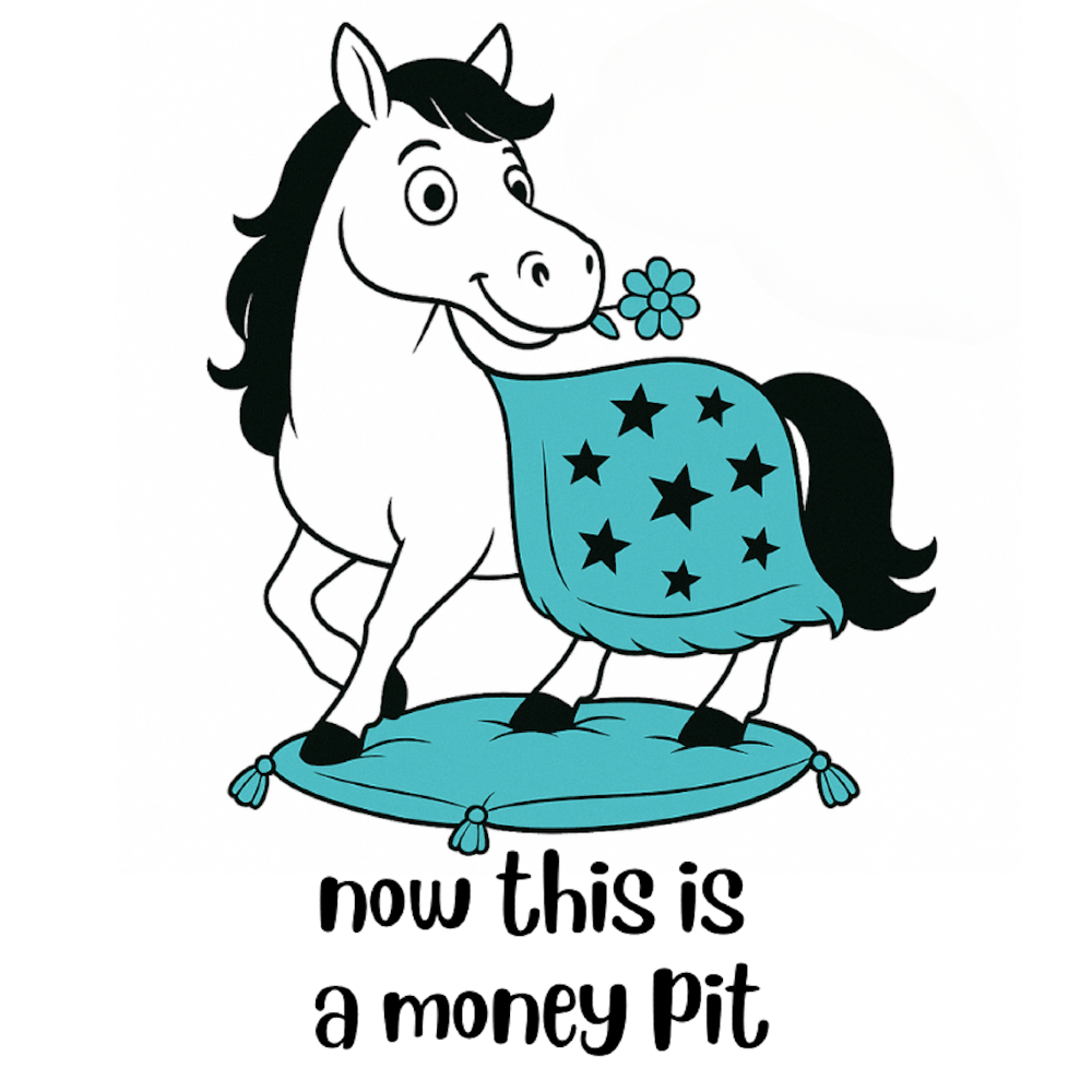 NOW THIS IS A MONEY PIT - AVAILABLE AS A FUNNY MUG OR TUMBLER