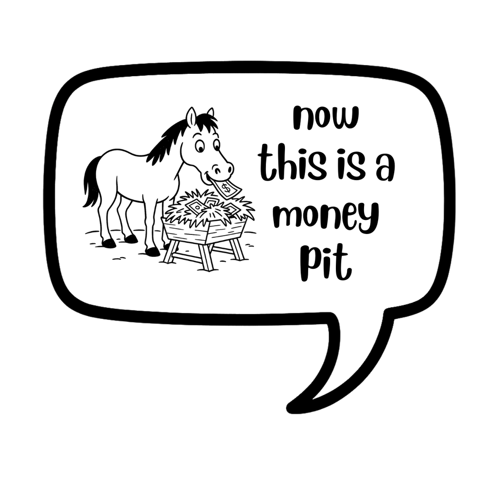 now this is a money pit - AVAILABLE AS A FUNNY MUG OR TUMBLER